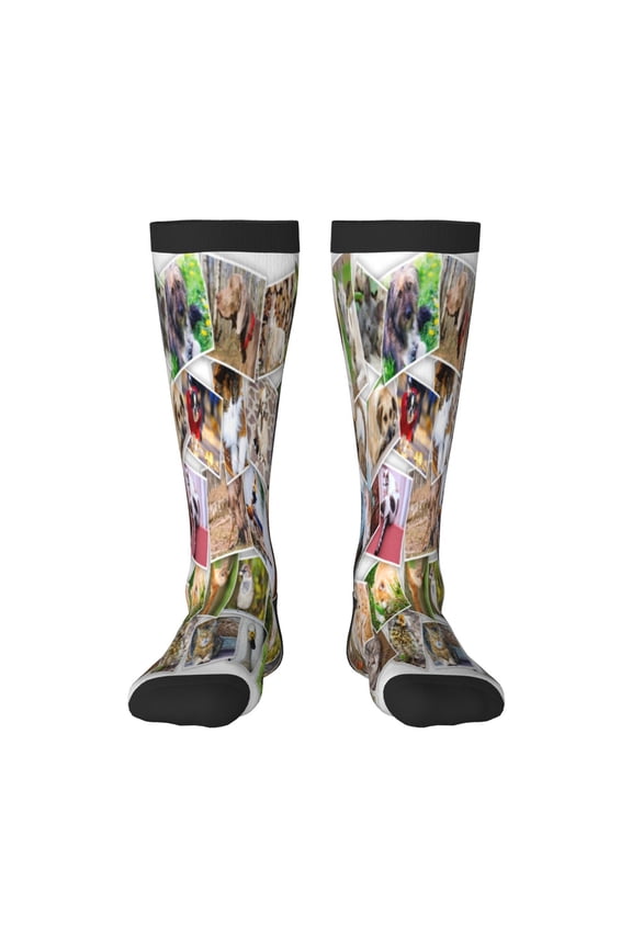 pets and birds Collage Knee Socks, High Socks Long Stretchy Sock Women Knee High Stocking, Long Socks for Women