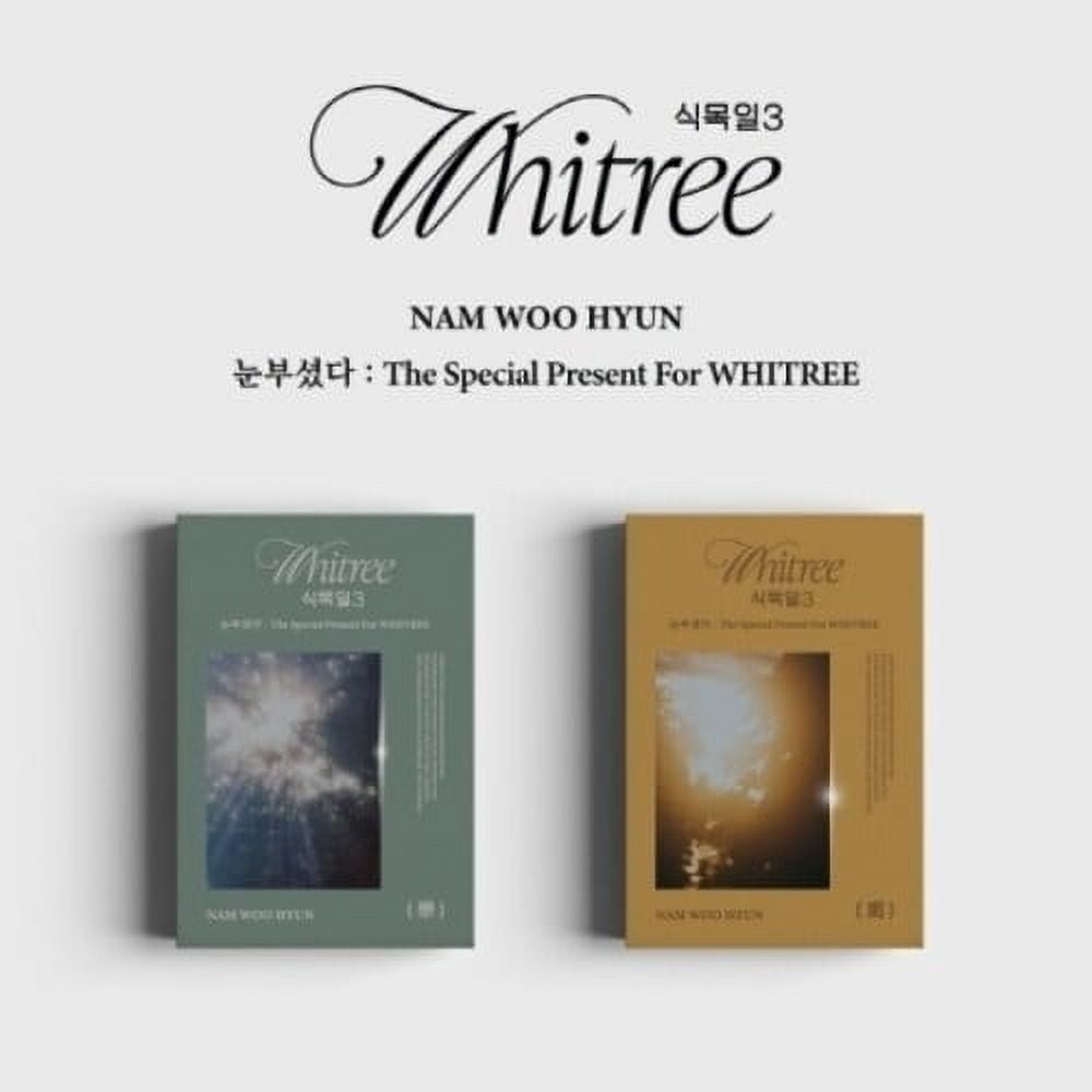 Nam Woo Hyun - The Special Present For Whitree - Random Cover - incl. USB, 7pc Postcard Set, Folded Poster, 3 Photocards + Film Photo - Music & Performance - CD