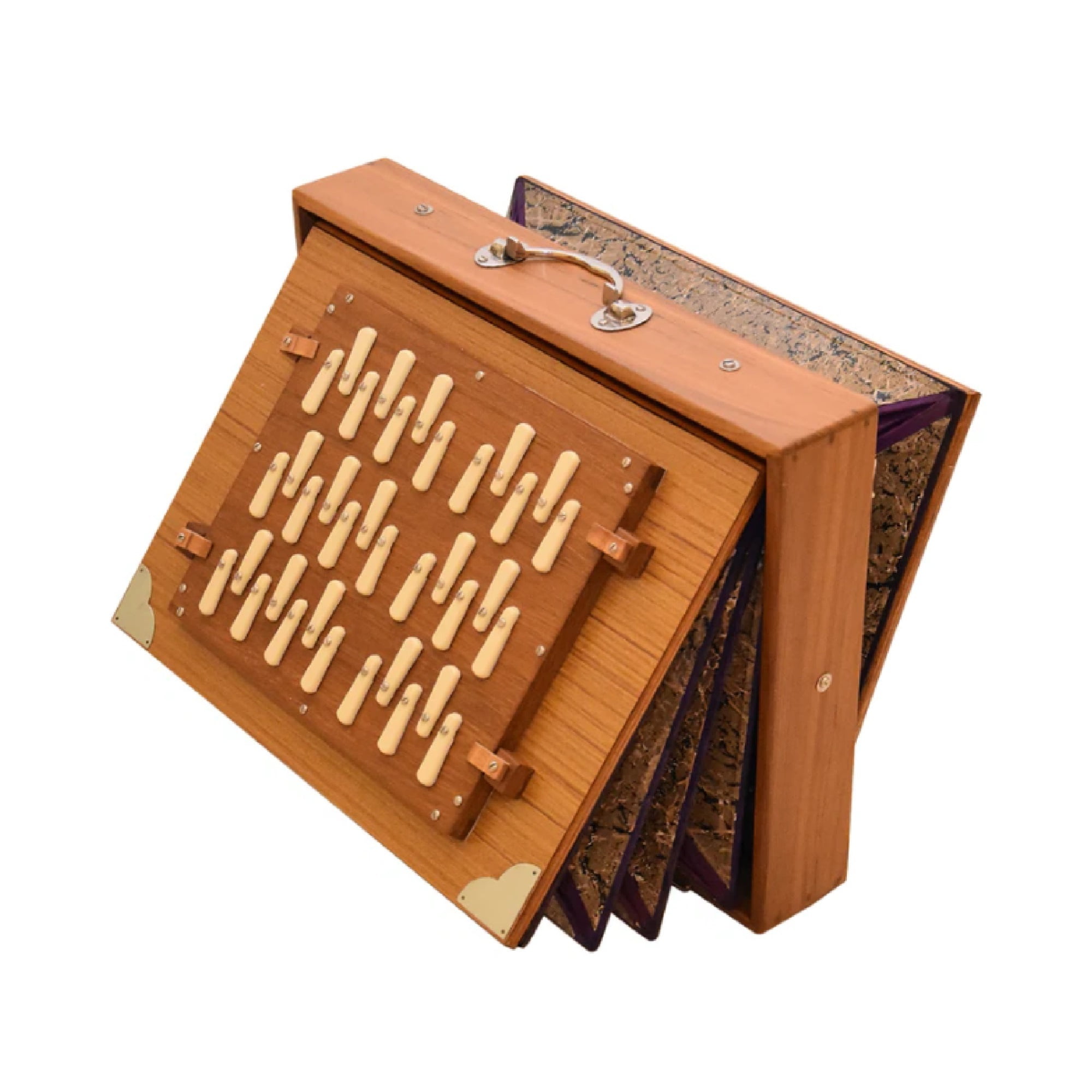 String Instrument Project Best Sellers In Musical Instruments Shruti Boxes