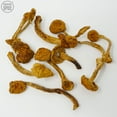 thumbnail image 1 of Nameko Mushrooms, Dried, 1 of 1