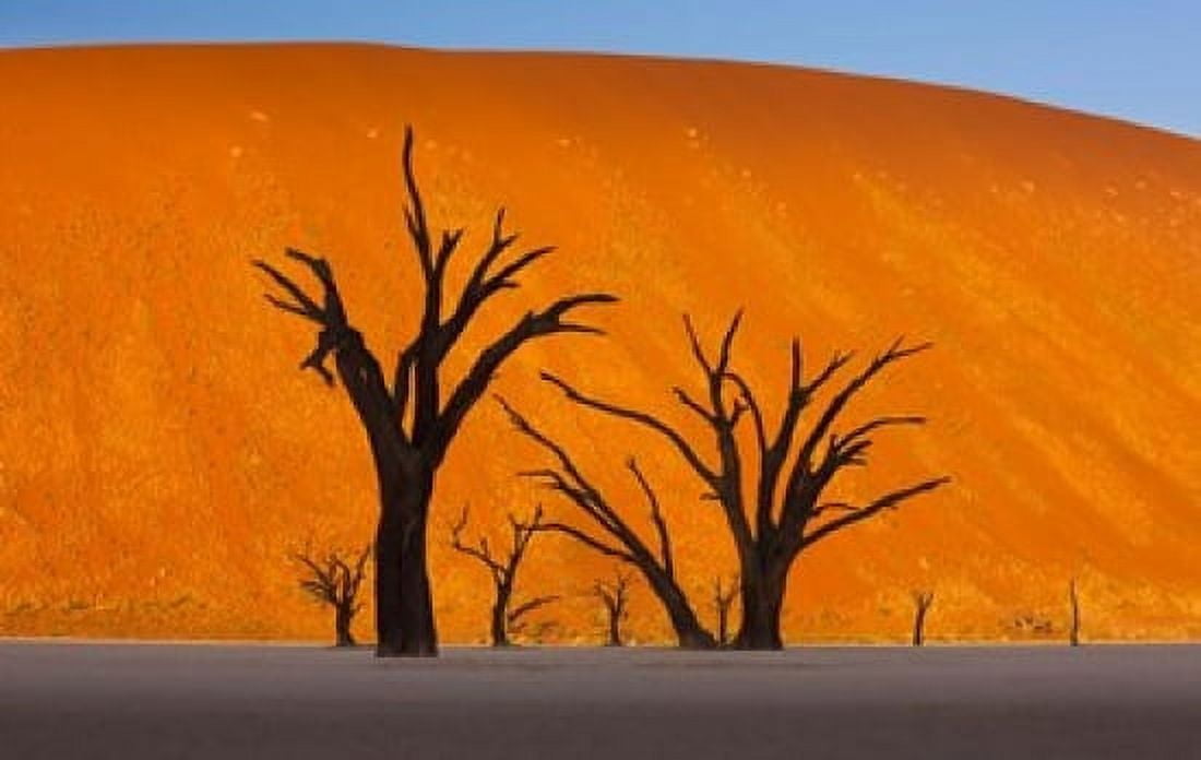 Namib-Naukluft National Park Namibia Canvas Art - Art Wolfe  DanitaDelimont (36 x 23)