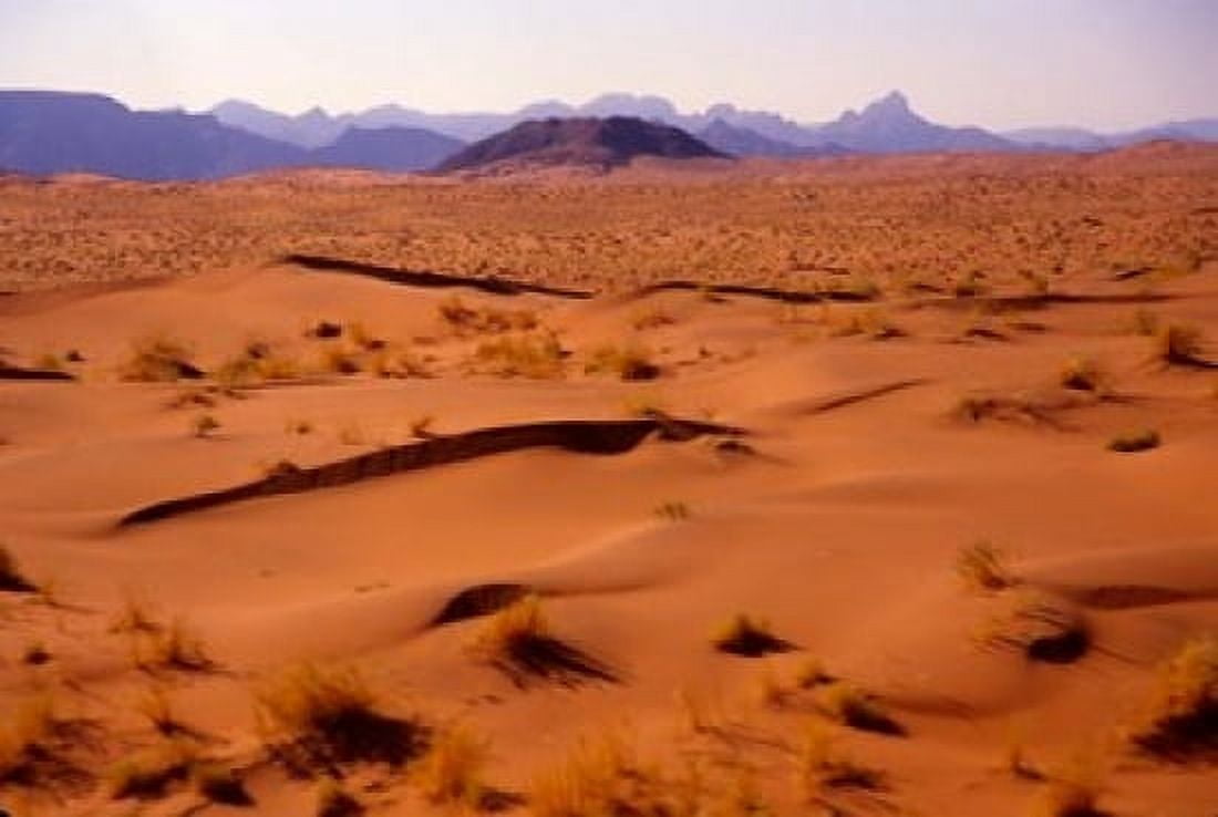 Namibia Desert Sossusvlei Dunes Aerial Canvas Art - Alison Jones DanitaDelimont (34 x 23)