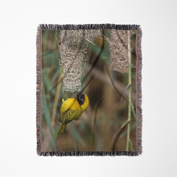 Namibia, Kaokoveld Conservation Area. Male Masked Weaver Building Nest, Woven Blanket