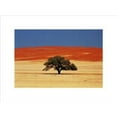thumbnail image 1 of Namibia Poster by J.P. Nacivet (16 x 12), 1 of 1