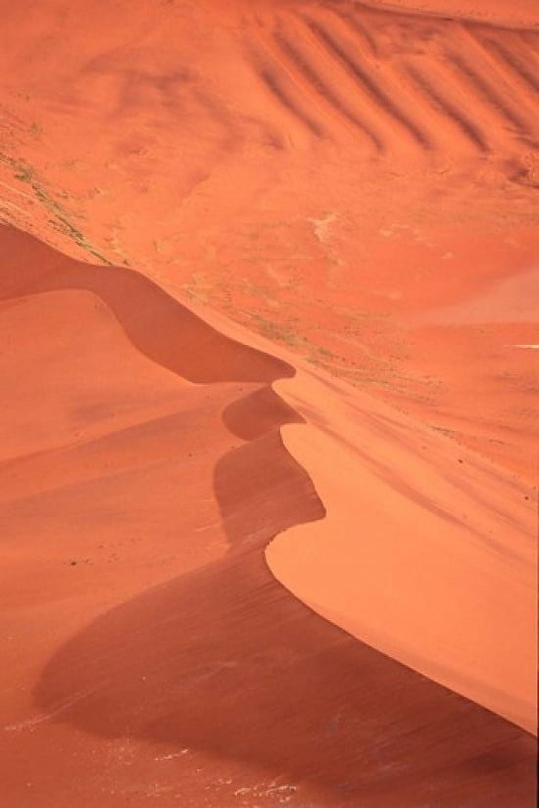 Namibia Sossusvlei Namib-Naukluft Desert Canvas Art - Stuart Westmorland DanitaDelimont (12 x 17)