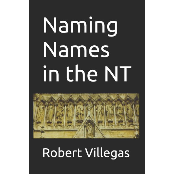 Villegas Religion Naming Names in the NT, Book 16, (Paperback)