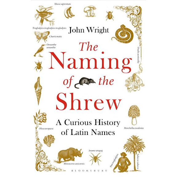 Naming Of The Shrew
