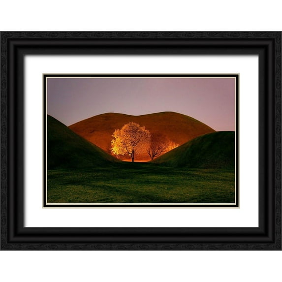 Namkoong, Bongok 14x11 Black Ornate Wood Framed with Double Matting Museum Art Print Titled - Magnolia