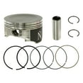 thumbnail image 1 of Namura Technologies NA-10012-6 Namura Piston Kit, 1 of 2