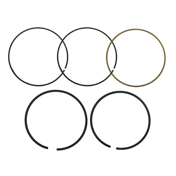 Namura Technologies NA-10012-4R Namura Piston Ring Set