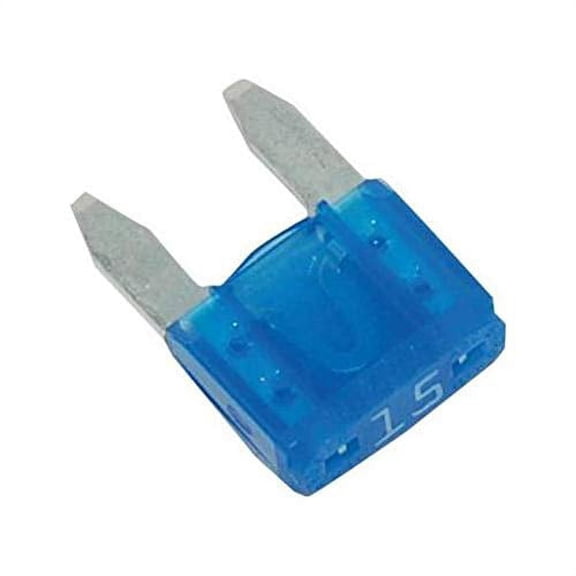 Namz Custom Cycle NF-MIN-15