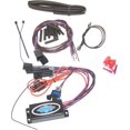 thumbnail image 1 of Namz Custom Cycle ILL-SD-IND RBT Sequential Module - Dynamic, 1 of 1