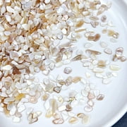 Namzi 100g Crushed Seashells Irregular Shell Slices for DIY Crafts, Picture Frames, Jewelry Making Home Beach Decor,Beige