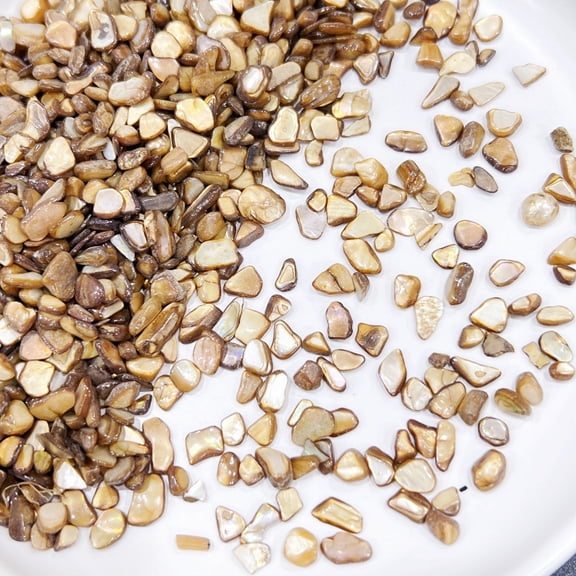 Namzi 100g Crushed Seashells Irregular Shell Slices for DIY Crafts, Picture Frames, Jewelry Making Home Beach Decor,Brown