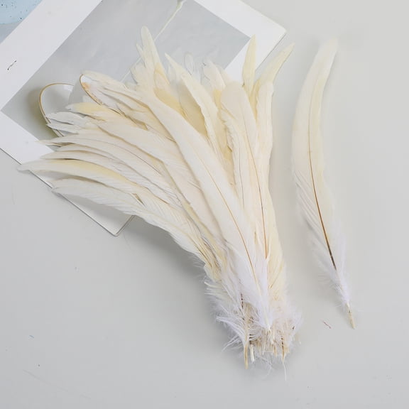 Namzi 100pcs Rooster Tail Feathers 30-35cm for DIY Crafts, Costume Performance Decorations,Craft Feathers,White