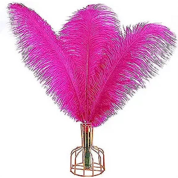 NAMZI 12pcs Fuchsia Ostrich Feathers Natural Bulk 16-18Inch 40cm-45cm for Wedding Party Centerpieces Easter Gatsby and Home Decorate Ostrich Feathers