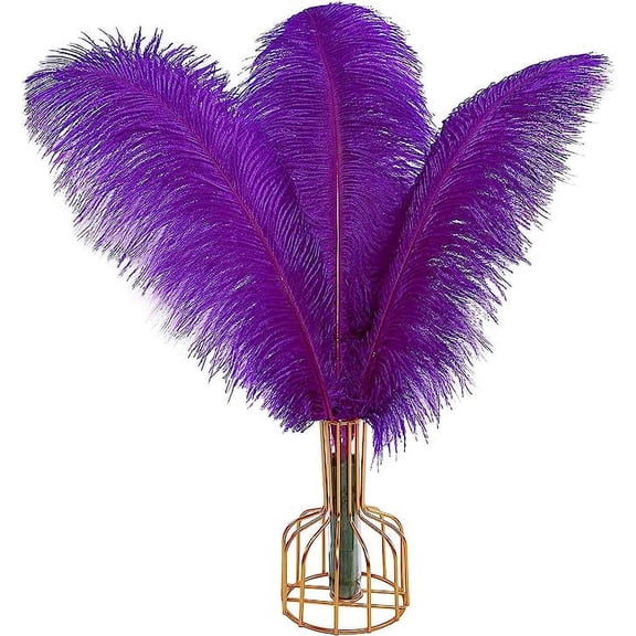 Namzi 12pcs Purple Ostrich Feathers Natural Bulk 16-18Inch 40cm-45cm for Wedding Party Centerpieces Easter Gatsby and Home Decorate Ostrich Feathers