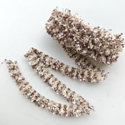 Namzi 180*0.59 Inch Unilateral Tassel Lace Trimmings,Lace Trim for DIY Handcrafted Accessories,Clothes,Add Decorative Edge to Tablecloth,Pillowcases,Curtains,Light Coffee Color