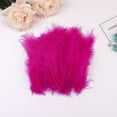 thumbnail image 1 of Namzi 200 Pcs Fluffy Craft Feathers, Feathers for Crafts, Hair Feathers for Wedding/Party/Home Decor DIY Projects,Dark Pink, 1 of 4
