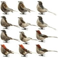 thumbnail image 1 of Namzi 2019 New-Artificial Birds,12PC/Set Realistic Feather Birds Artificial Foam Mini Birds on Clip Christmas Tree Decoration for DIY Crafts Garden Bird Ornaments Home Party Decorations (Multicolor), 1 of 5