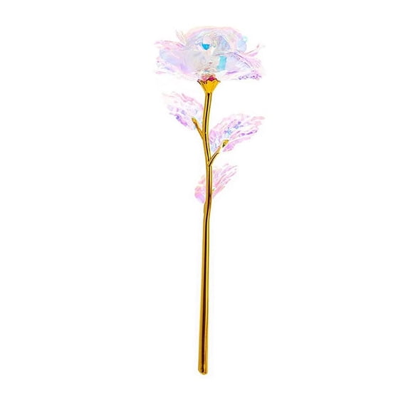 Namzi 24K Gold Plated, 10Pcs Artificial Rose Flower Gifts for Women, Colorful Gifts for Her, Rose Flowers Gifts for Valentines Day Mothers Day Birthday Anniversary(White)