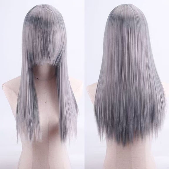 Namzi 60cm Long Wig, Cosplay Wig, Anime Wig, 1 Piece High-Temperature Silk Long Synthetic Fiber Wig, Realistic Texture for Character Styling,Grey