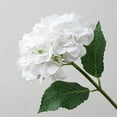 thumbnail image 1 of Namzi 6Pcs Blue Flowers Silk Hydrangea Artificial Flowers Realistic Hydrangea Flowers Bouquet for Wedding Party Office Home Decor (White), 1 of 5