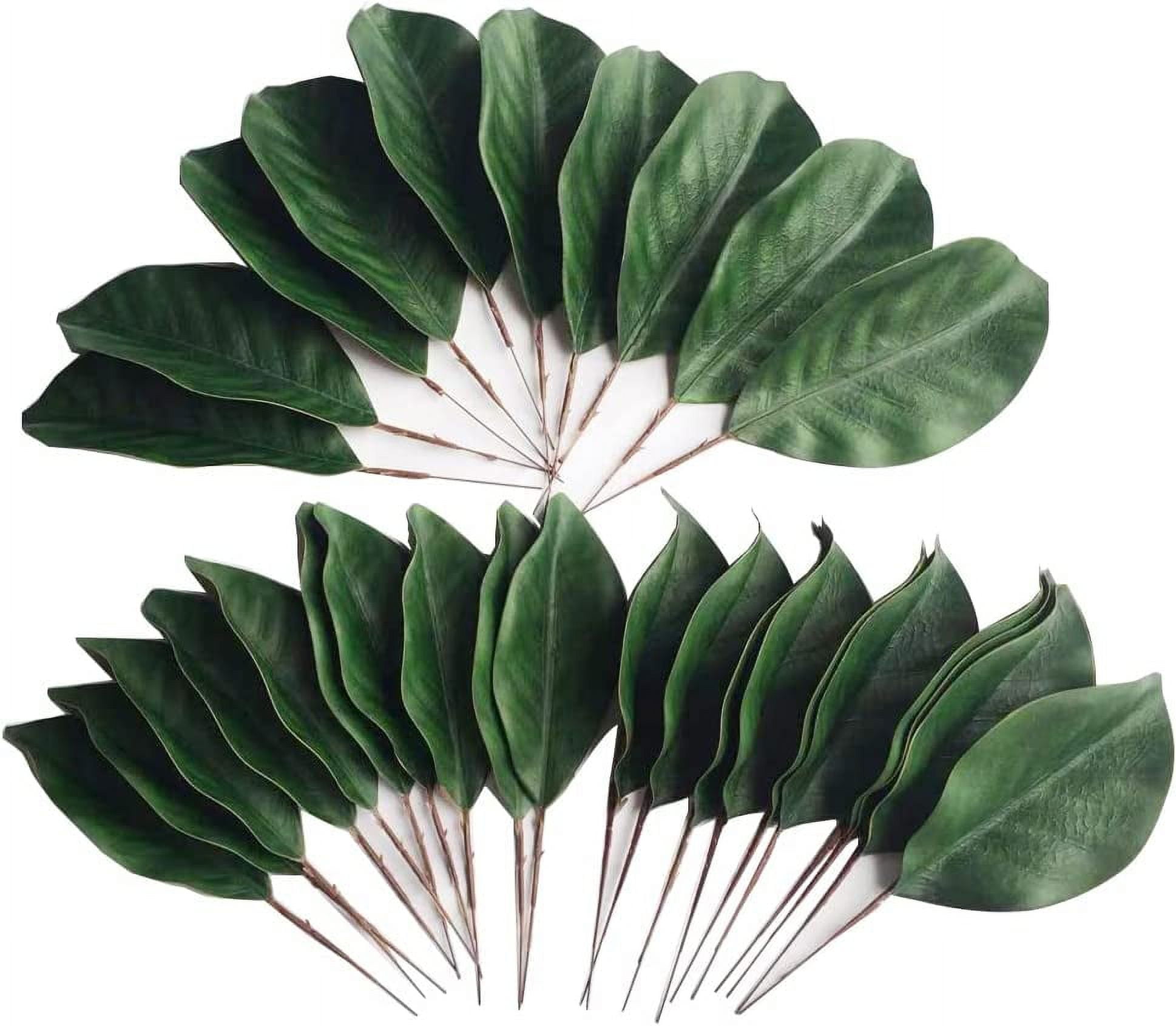 Namzi Artificial Magnolia Leaves Fake Single Leaf Picks for Magnolia