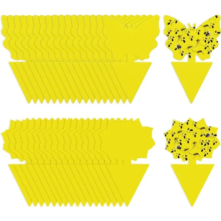 Namzi Fruit Fly Traps Fungus Gnat Traps Yellow Sticky Bug Traps 50 Pack Non-Toxic and Odorless for Indoor Outdoor Use Protect The Plant