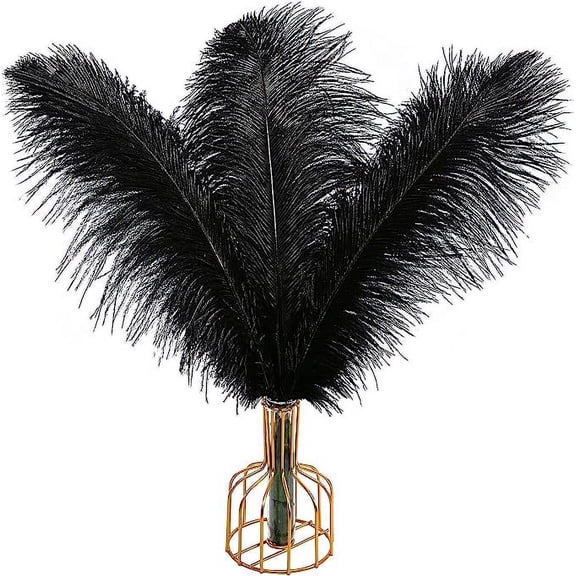 Namzi Ostrich Feathers, 12 Pcs 30-35cm Black Feathers Ideal for Wedding Centerpiece, Table Decor Vase Fillers