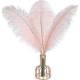 thumbnail image 1 of Namzi Ostrich Feathers, 12 Pcs 40-45cm Pink Feathers Ideal for Wedding Centerpiece, Table Decor Vase Fillers, 1 of 5