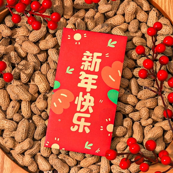 Namzi Red Envelopes Chinese New Year, 12pcs Money Envelopes for Cash Christmas Lucky Money Pocket-C05