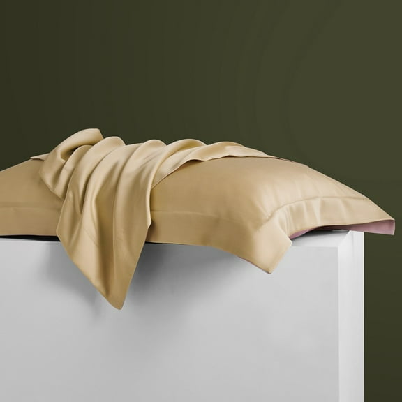 Namzi-b 2Pcs 60 tencel pillowcases Light luxury life, selected fabric pillowcase, guard your sweet dream 18.9x29.13inch(golden