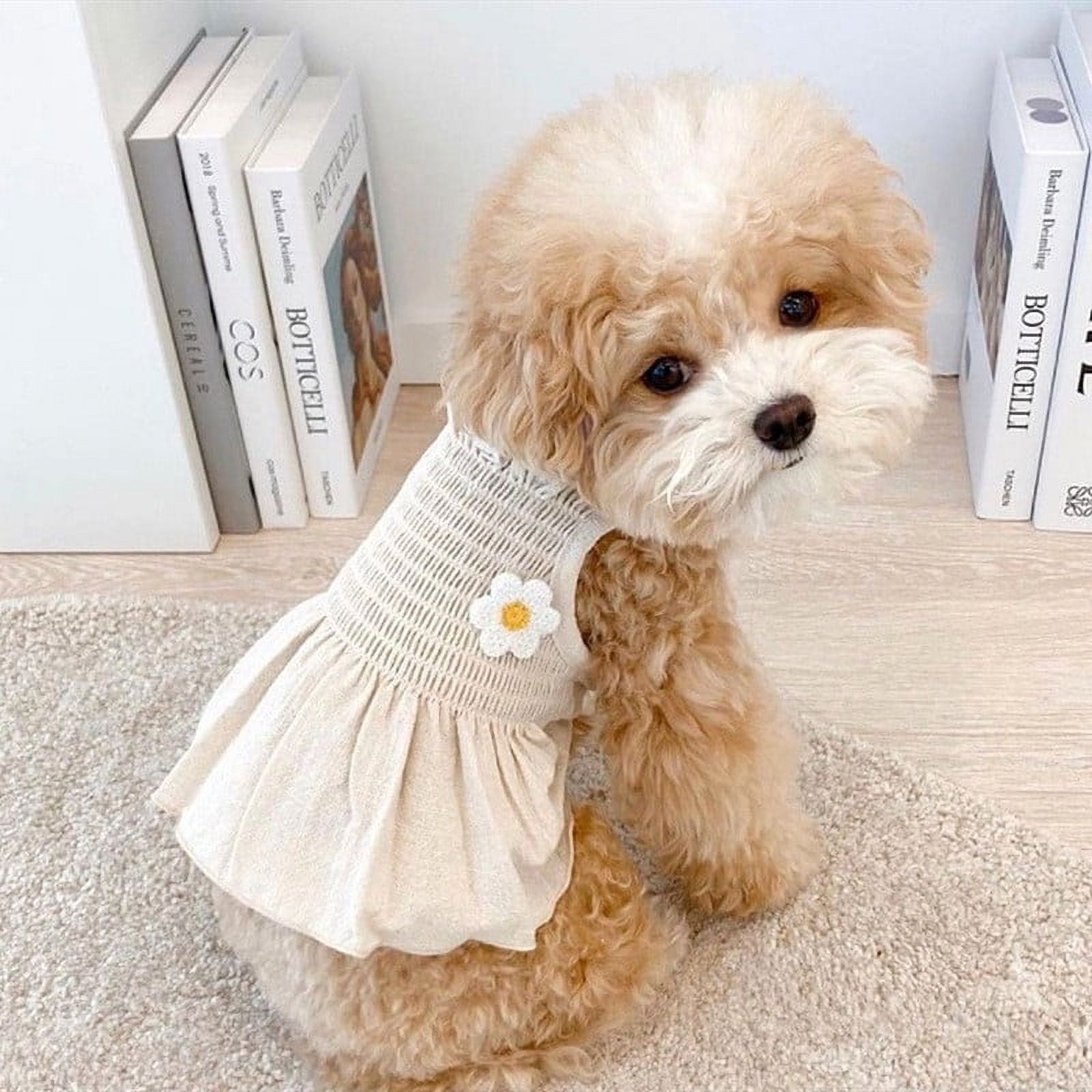 cute dresses for puppies Girl Dog Clothes