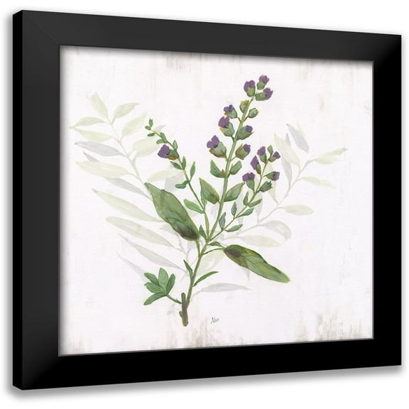 Nan 12x12 Black Modern Framed Museum Art Print Titled - Kitchen Garden II