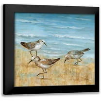 Nan 12x12 Black Modern Framed Museum Art Print Titled - Sandpipers II