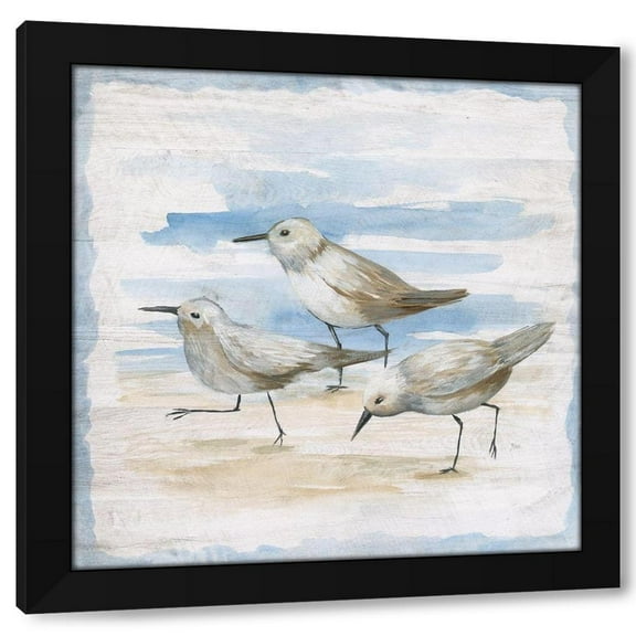 Nan 12x12 Black Modern Wood Framed Wall Art Titled - Shore Birds II