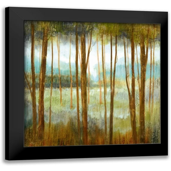 Nan 12x12 Black Modern Framed Museum Art Print Titled - Soft Forest I