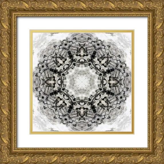 Nan 12x12 Gold Ornate Wood Framed with Double Matting Museum Art Print Titled - Black White Kaleidoscope