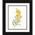 thumbnail image 1 of Nan 12x14 Black Ornate Wood Framed with Double Matting Museum Art Print Titled - Ochre Botanical II, 1 of 4