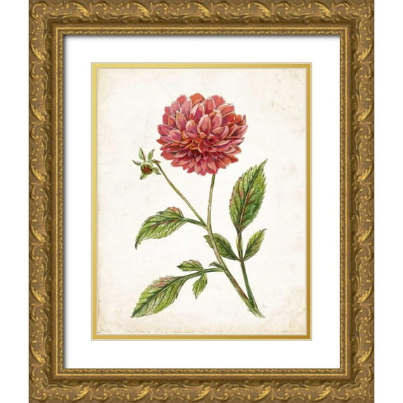 Nan 12x14 Gold Ornate Wood Framed with Double Matting Museum Art Print Titled - Scarlet Botanical I