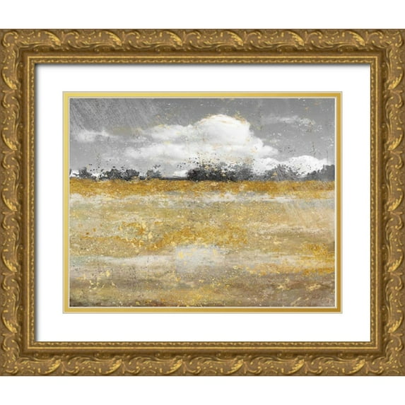 Nan 14x12 Gold Ornate Wood Framed with Double Matting Museum Art Print Titled - Meadow Shimmer II