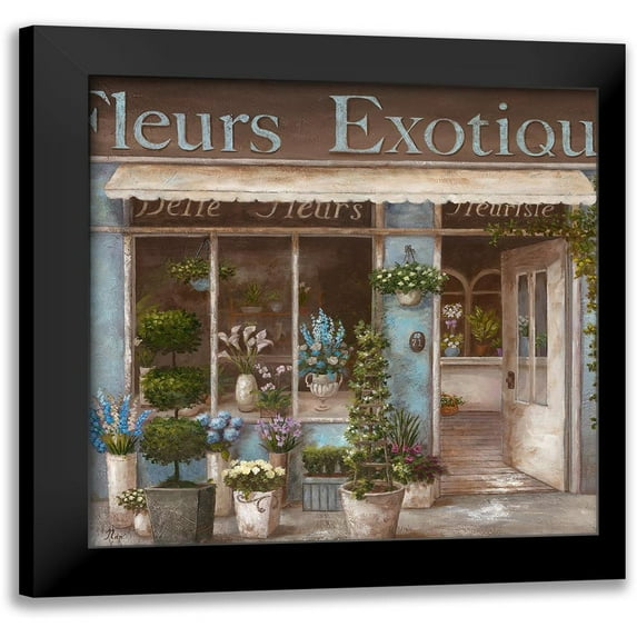 Nan 15x15 Black Modern Framed Museum Art Print Titled - Fleurs Exotique