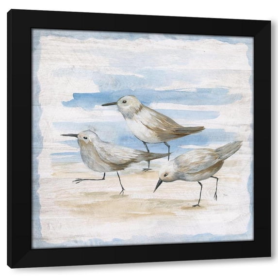 Nan 15x15 Black Modern Wood Framed Wall Art Titled - Shore Birds II