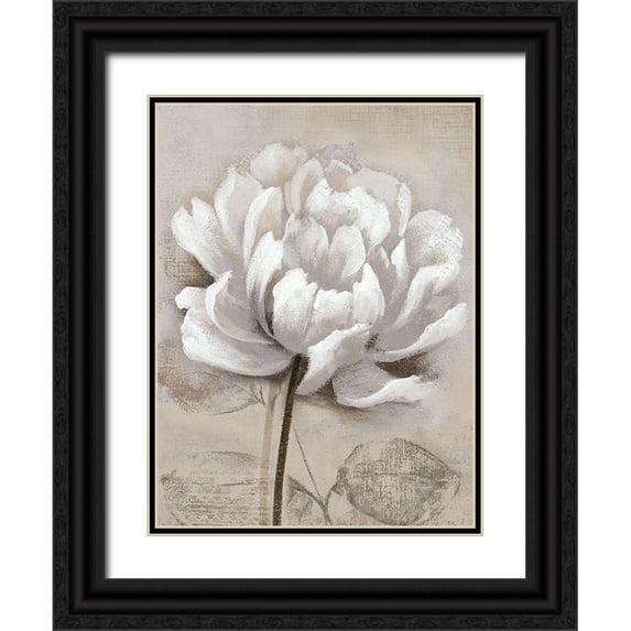 Nan 15x18 Black Ornate Wood Framed with Double Matting Museum Art Print Titled - Soft White I
