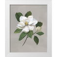 thumbnail image 1 of Nan 15x18 White Modern Wood Framed Museum Art Print Titled - Botanical Magnolia, 1 of 4