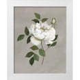 thumbnail image 1 of Nan 15x18 White Modern Wood Framed Museum Art Print Titled - Botanical Rose, 1 of 4