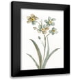thumbnail image 1 of Nan 17x24 Black Modern Framed Museum Art Print Titled - Neutral Botanical II, 1 of 5