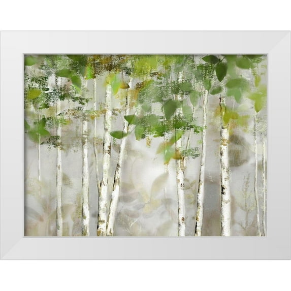 Nan 18x15 White Modern Wood Framed Museum Art Print Titled - Evergreen Forest