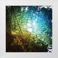 thumbnail image 1 of Nan 20x20 White Modern Wood Framed Museum Art Print Titled - Rainbow Fern, 1 of 4